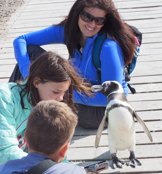 Penguin ate my hair!