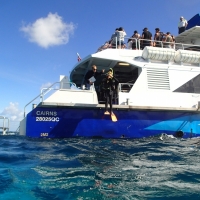 Liam loved this big leap to start the dive. Big Reef, Big Entrance