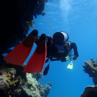 Great Barrier Reef