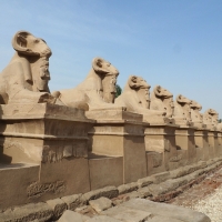 Ram-headed Sphinxes