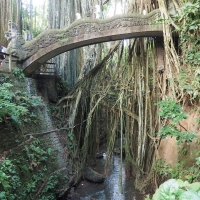 Serpent Bridge - Monkey Forest