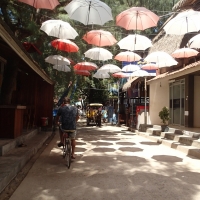 Riding bikes on Gili Island