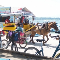 Gili T Taxi