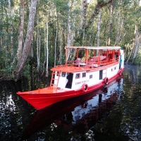 Borneo - boat on the black river