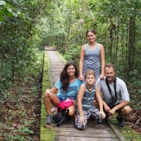 walkways over the Kalimantan mangrove