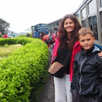 Toy Train - Darjeeling