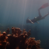 Liam Snorkeling