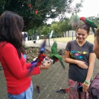 Jungle Birds - how beautiful!