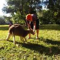 Liam feeding a friend at the Zoo