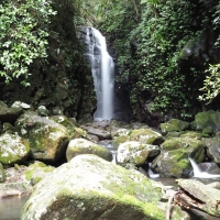 Lamington National Park