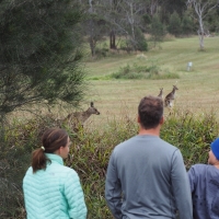 Wild Roos! Score!