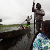 mokoro in the Delta