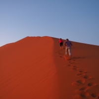 Namibian Dune