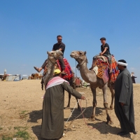 Egypt - camel rides