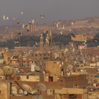 Cairo Cityscape