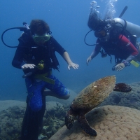 Perhentian Diving