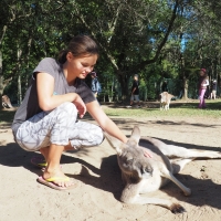 Soft Kangaroos