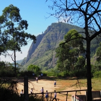 hillside schoolyard cricket