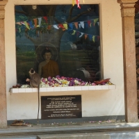 This shrine was at the Bodhi Tree temple where for 2,000 years caretakers have documented caring for a sapling taken from the tree under which Buddha gained enlightenment.