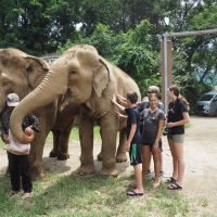 Touching an animal this big is magical