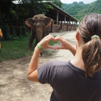 Shia loves elephants & this one has a dog best friend. They sleep together every night