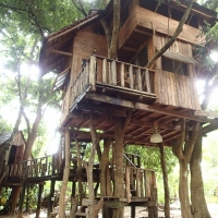 Treehouse