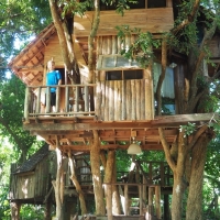 Longan Treehouse