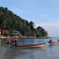 Water Taxis