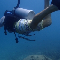 Remora stalking my dad